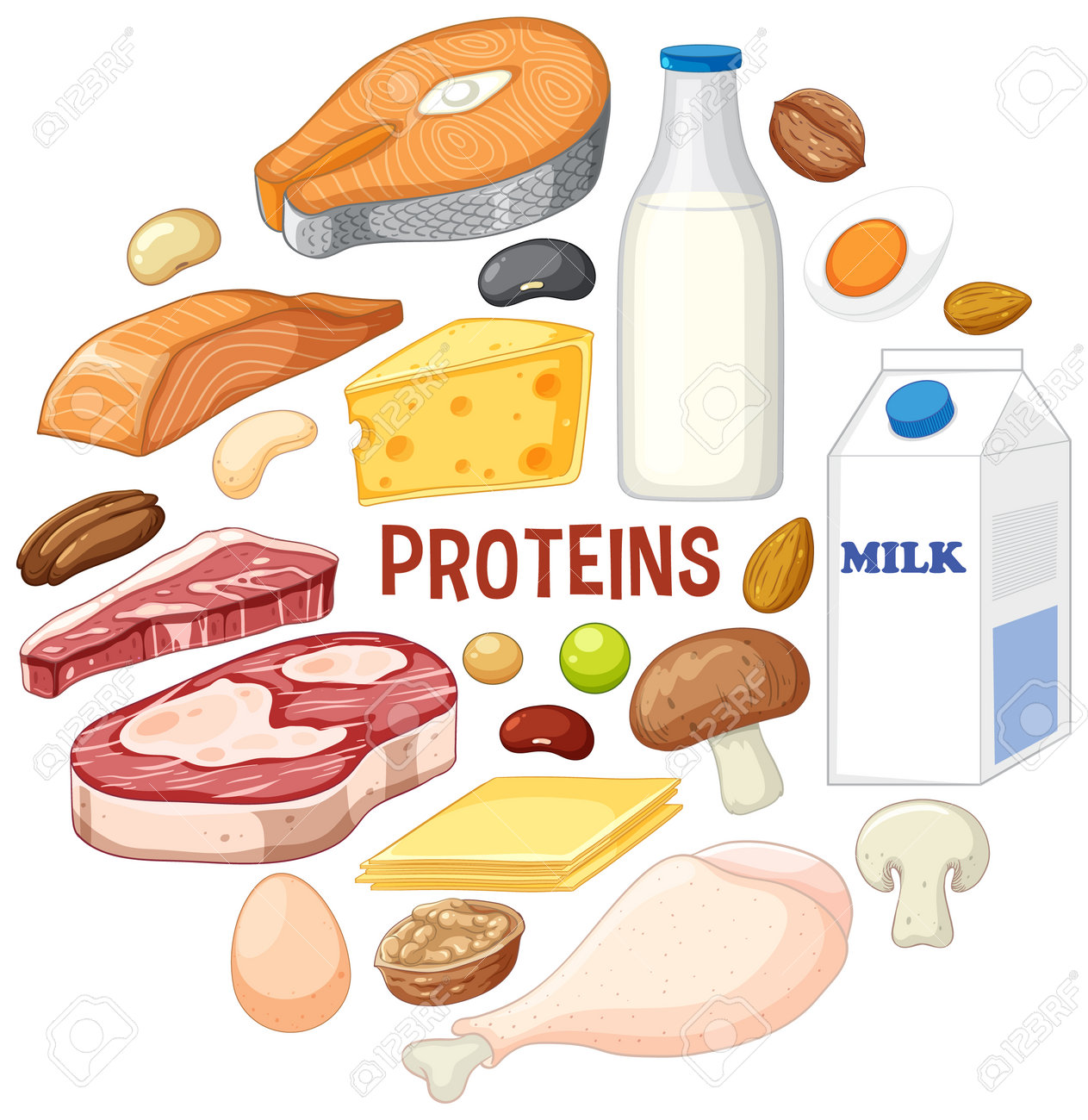 Variety Of Protein Foods With Text Illustration Royalty Free SVG, Cliparts,  Vectors, and Stock Illustration. Image 198344908.
