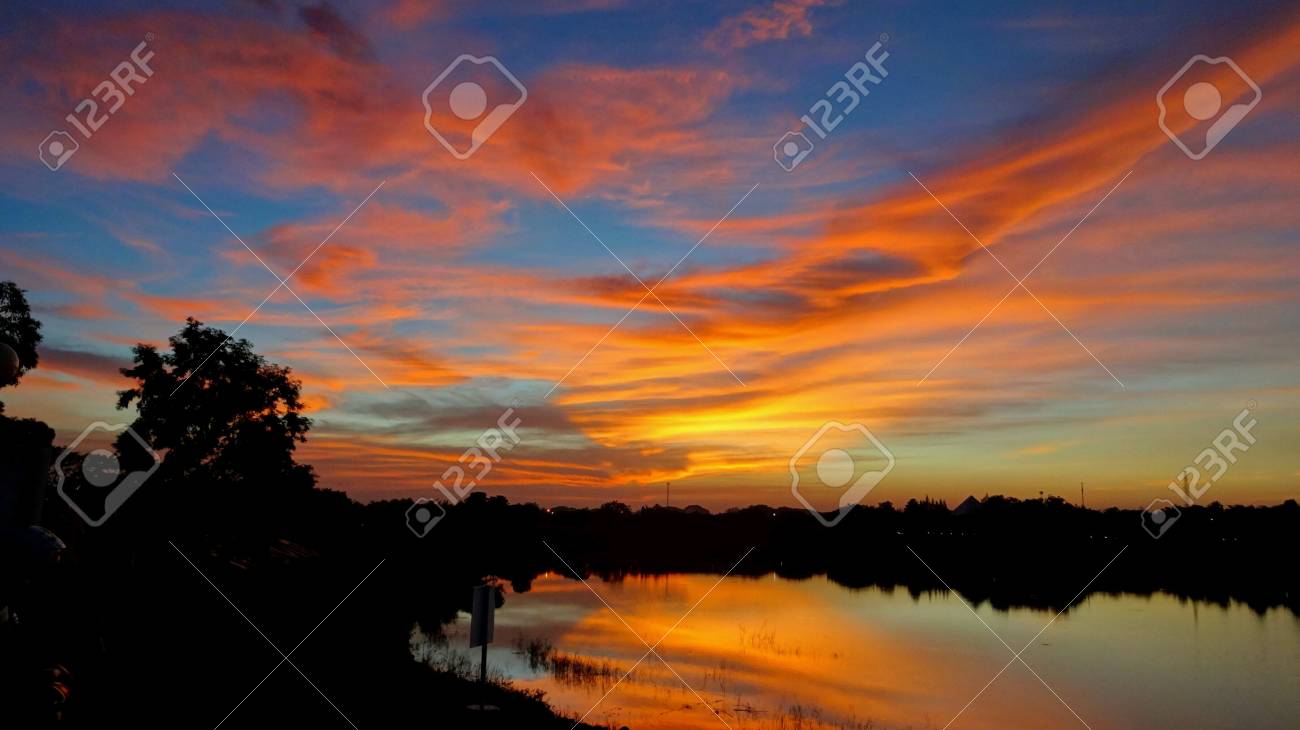 etiam-dictum-ipsum-a-felis