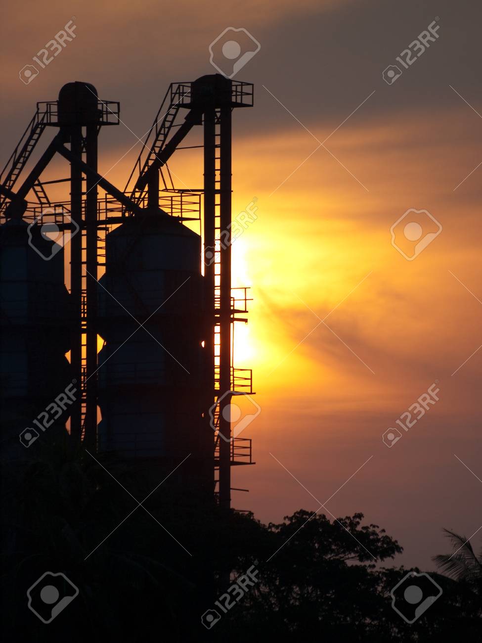 sunrise rice mill