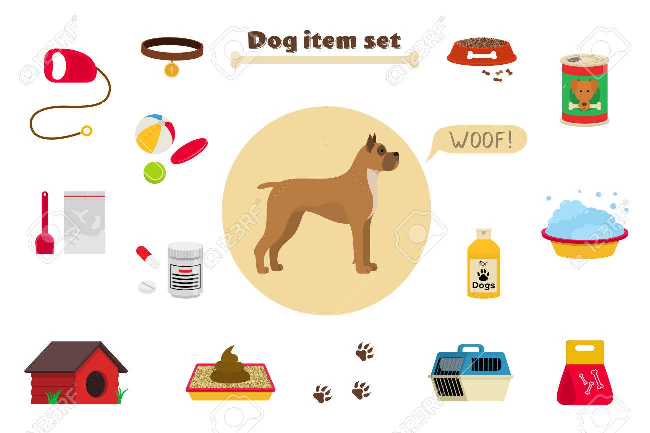 dog related items