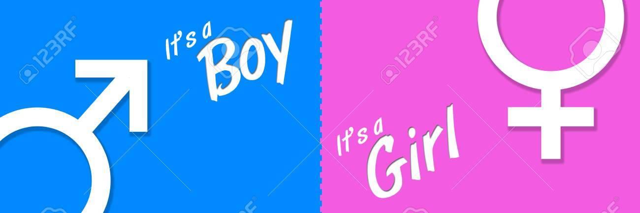 boy or girl banner