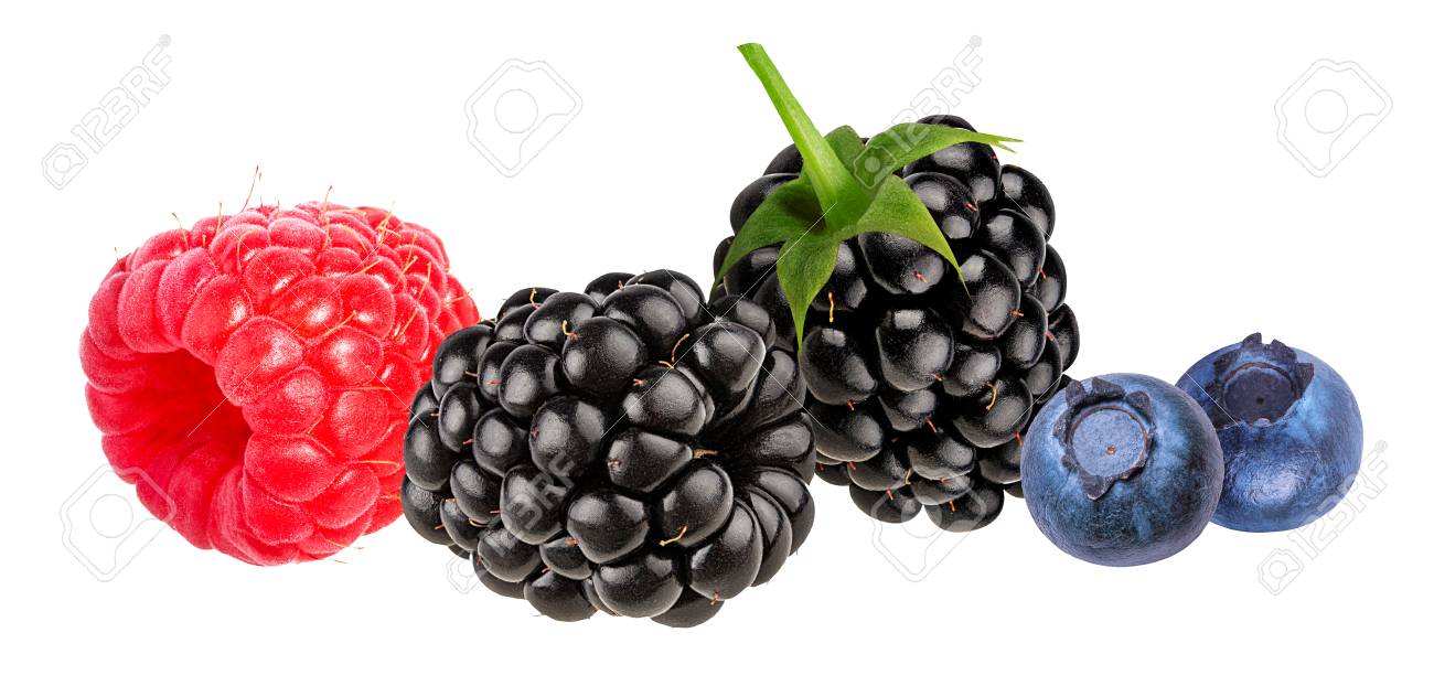 ベリー コレクション ラズベリー ブルーベリー ブラックベリーの白で隔離 の写真素材 画像素材 Image