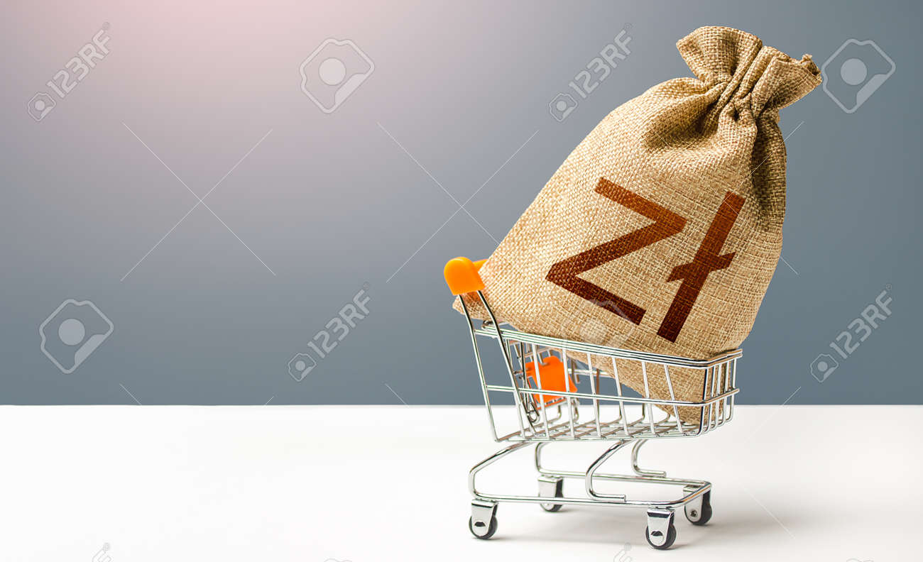 Polish zloty money bag in a shopping cart. Business and trade concept. Public budgeting. Profits and super profits. Minimum living wage. Loans, microloans. Consumer basket. Economic bubbles. - 166688978 Polish zloty money bag in a shopping cart. Business and trade concept. Public budgeting. Profits and super profits. Minimum living wage. Loans, microloans. Consumer basket. Economic bubbles. - 166688978