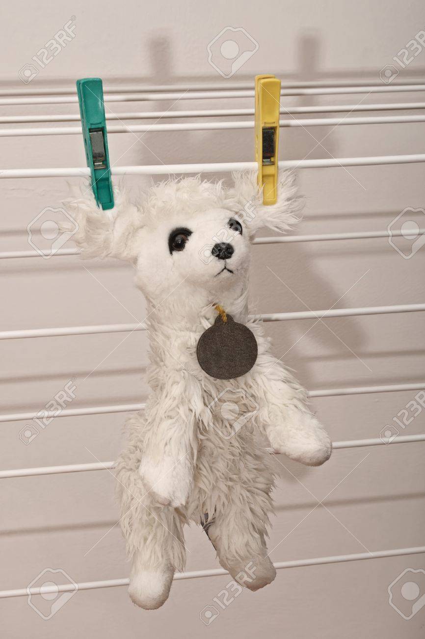 Wet Jouet Pour Chien Blanc Accroche Sur Corde A Linge Avec Des Pinces A Linge Colorees Apres Le Lavage Banque D Images Et Photos Libres De Droits Image 16849657