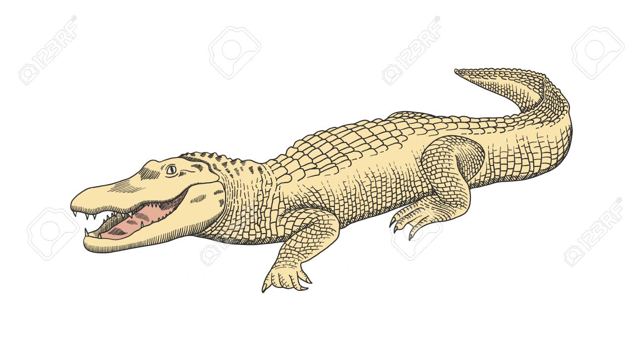 crocodile symbol logo