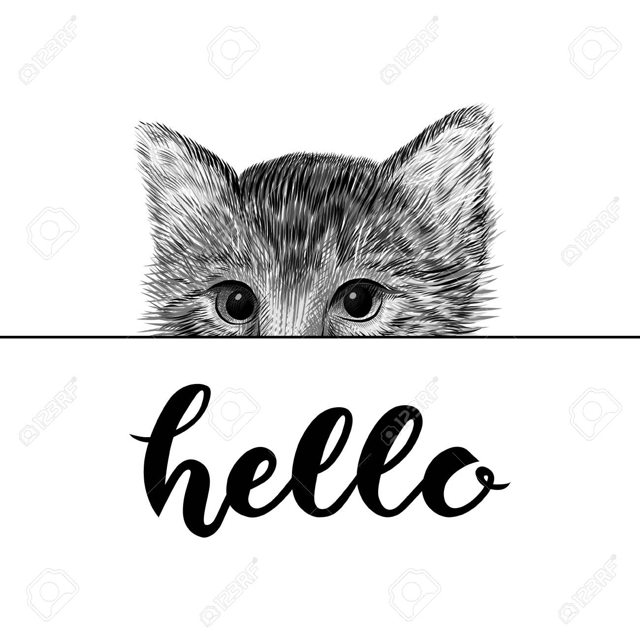 Kleine Kat, Kitten Zwart-wit Vector Illustratie. Hand Getekend ..., حجم الصورة 1300x1300