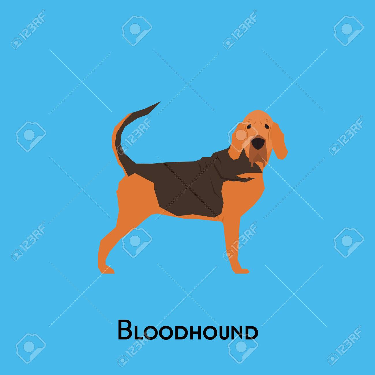 青色の背景に分離のブラッドハウンド犬 のイラスト素材 ベクタ Image