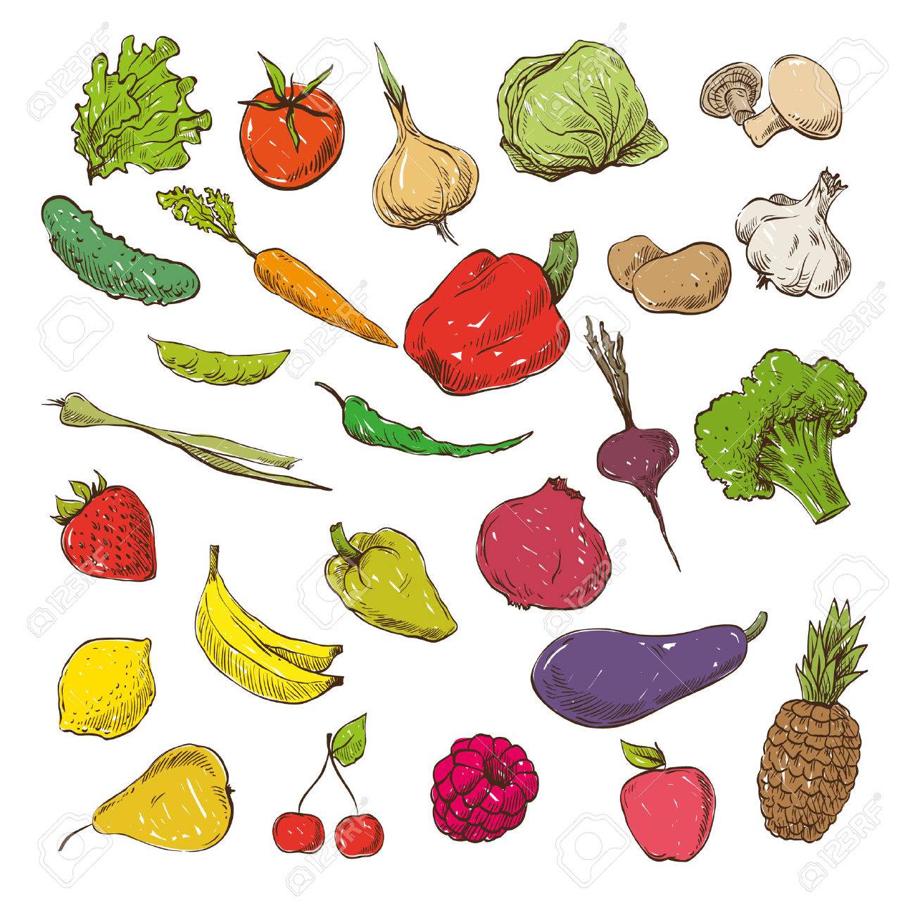 野菜や果物手描き ベクトル イラスト のイラスト素材 ベクタ Image 野菜や果物手描き ベクトル イラスト のイラスト素材 ベクタ Image