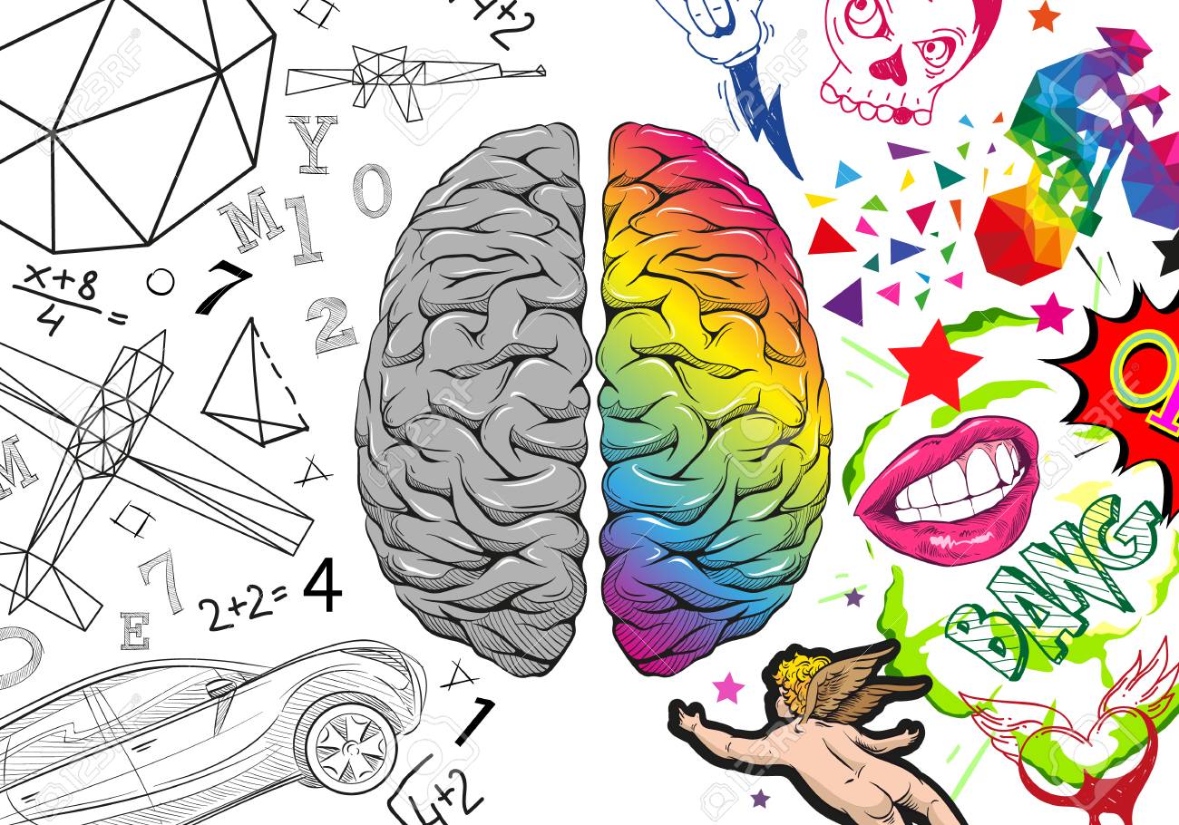 Slikovni rezultat za right hemisphere illustration