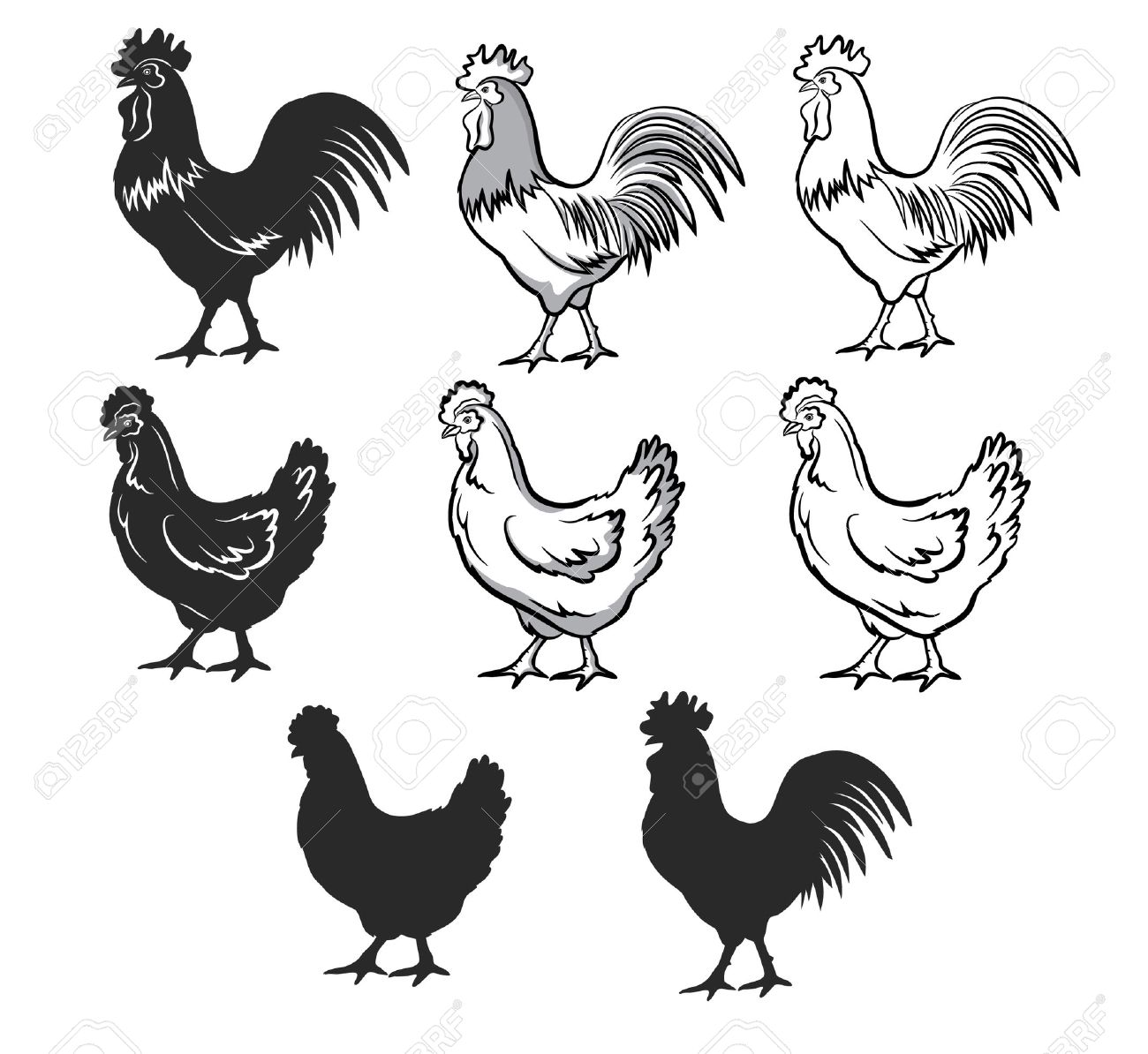 Huhner Gesetzt Vektor Illustration In Schwarz Und Weiss Kontur Und Silhouetten Henne Und Hahn Mannliche Und Weibliche Huhner Eingestellt Lizenzfrei Nutzbare Vektorgrafiken Clip Arts Illustrationen Image 58872562