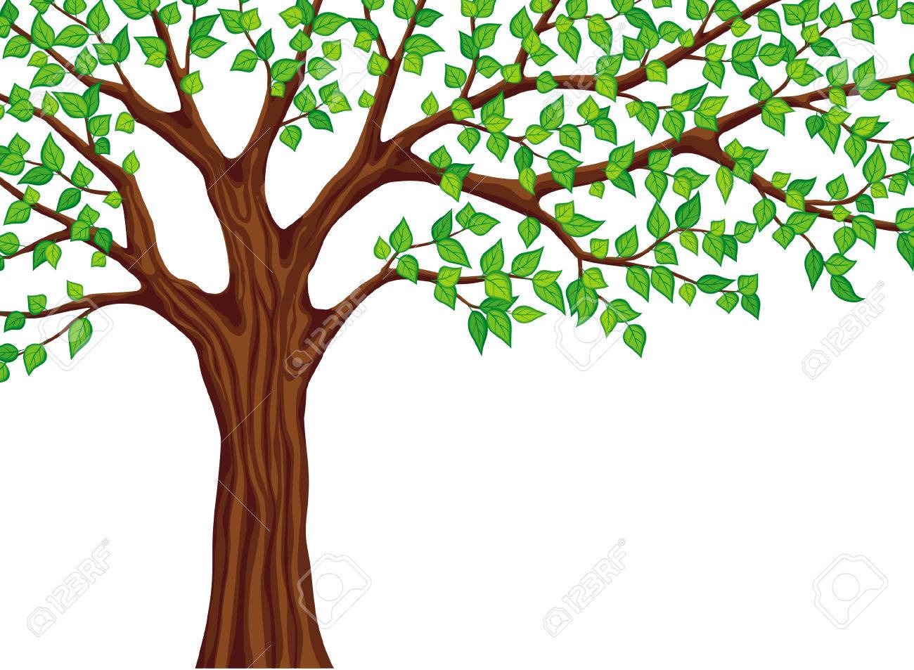 green tree vector illustration spring background tree branches