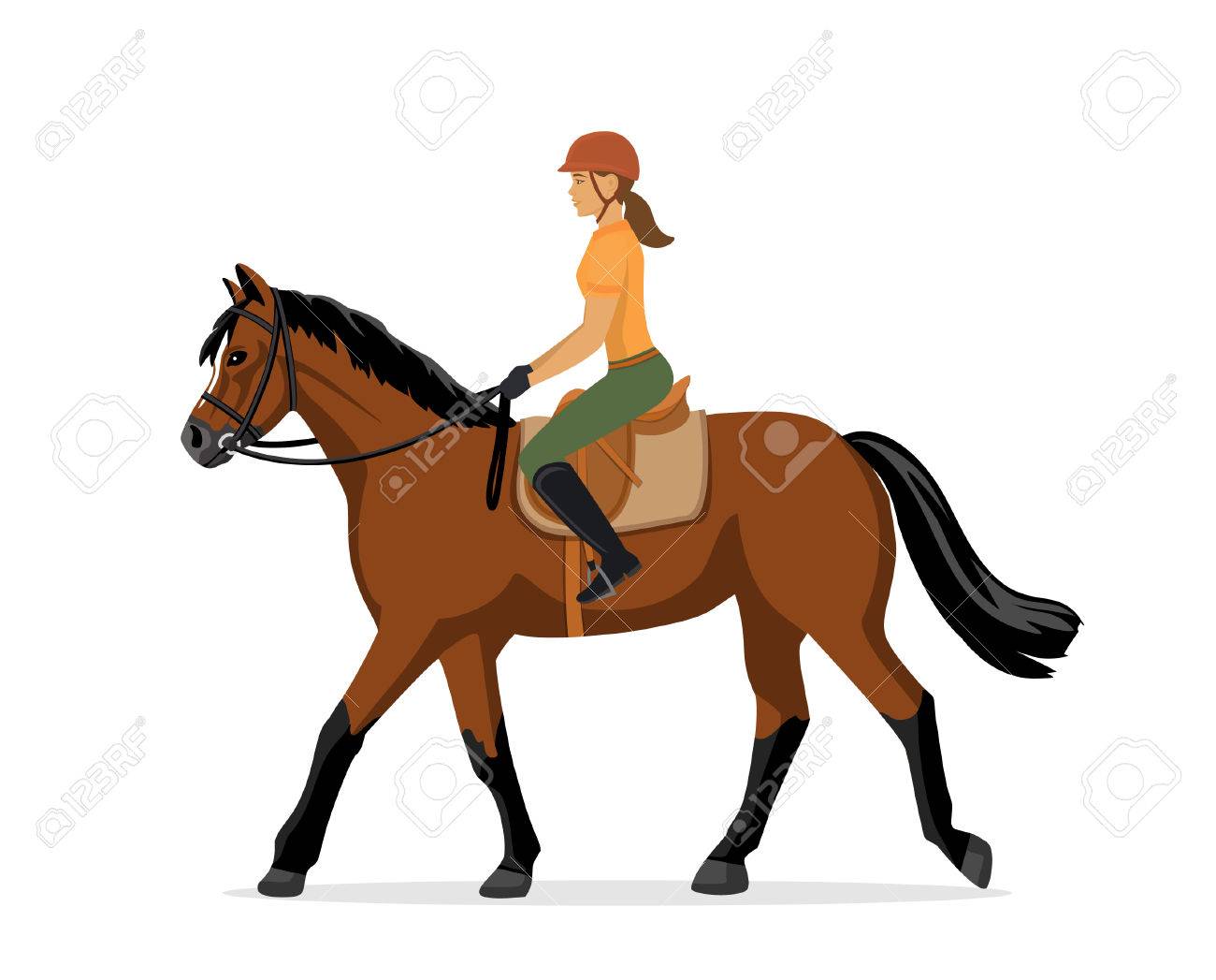 woman horseback riding equestrian sport isolated vector