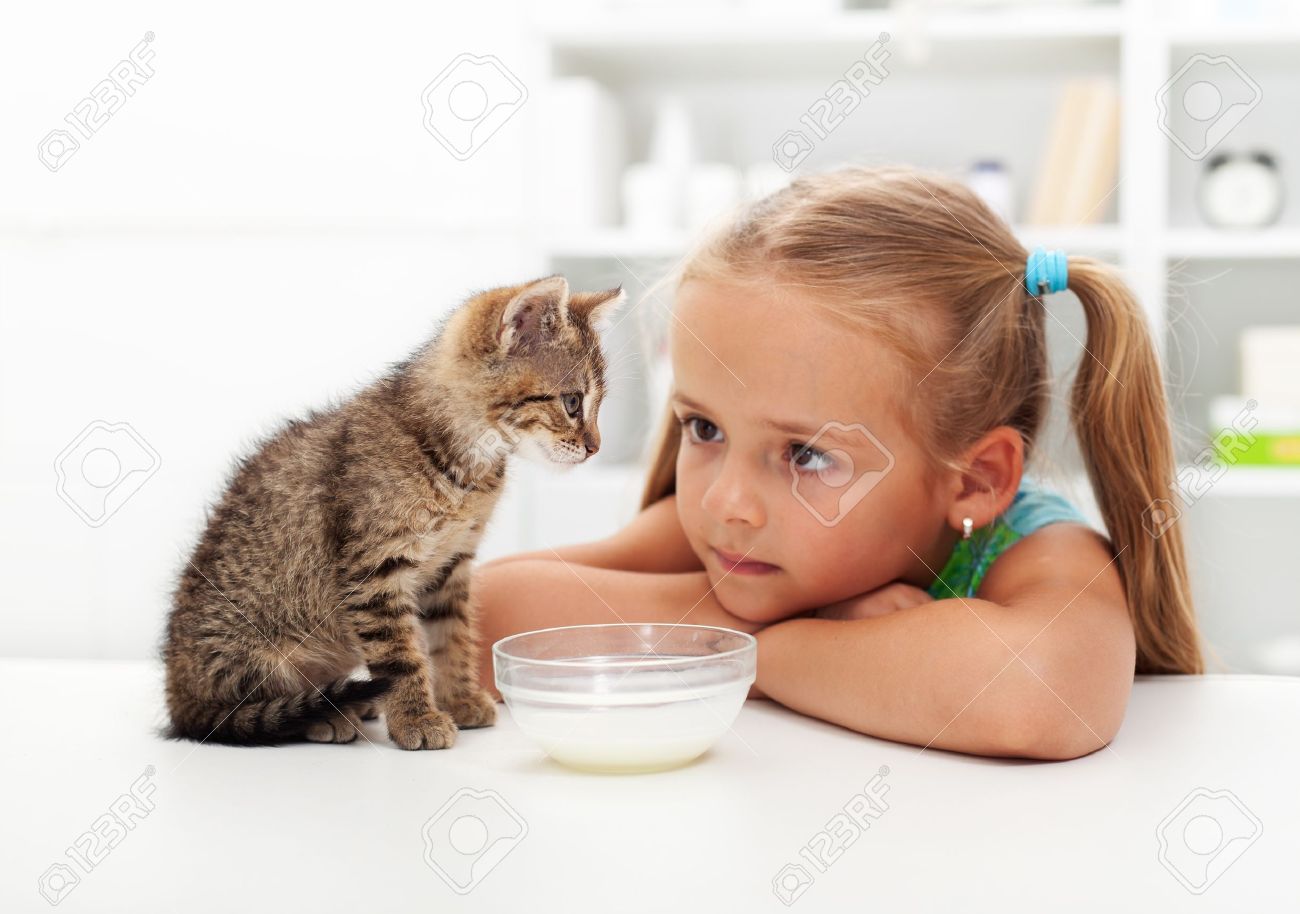 私と私の猫 - 少女とお互いを知ってもらう新しい子猫 の写真素材・画像