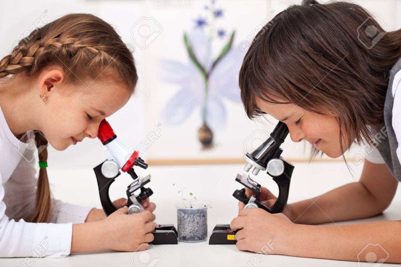Young kids in science lab study samples under the microscope - biology class - 39552173 Young kids in science lab study samples under the microscope - biology class - 39552173