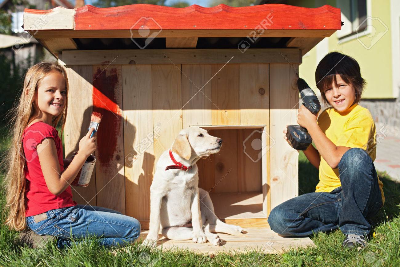 Kids preparing a shelter for their new puppy dog - finishing and painting the doghouse - 45865999 Kids preparing a shelter for their new puppy dog - finishing and painting the doghouse - 45865999