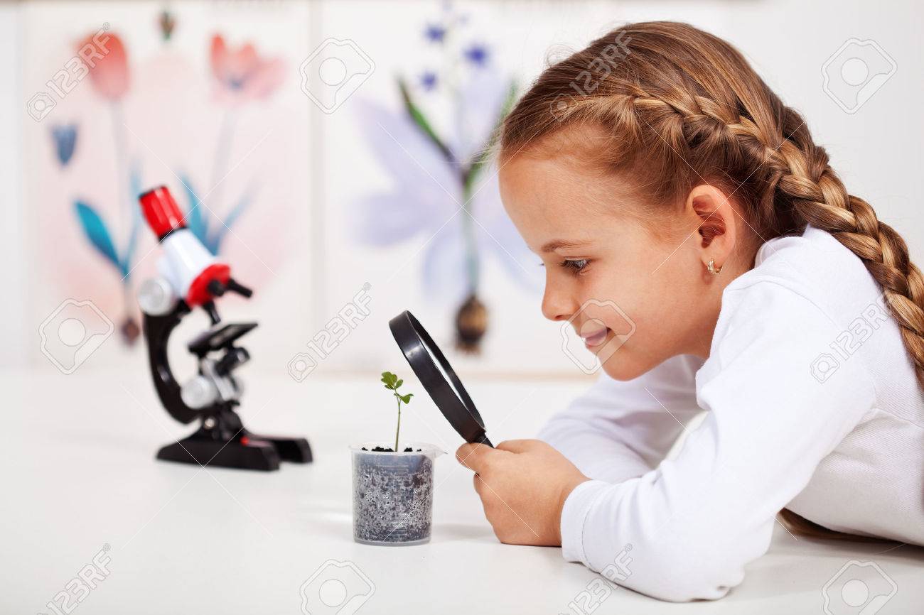 Young student studies small plant in elementary science class - 48072195 Young student studies small plant in elementary science class - 48072195
