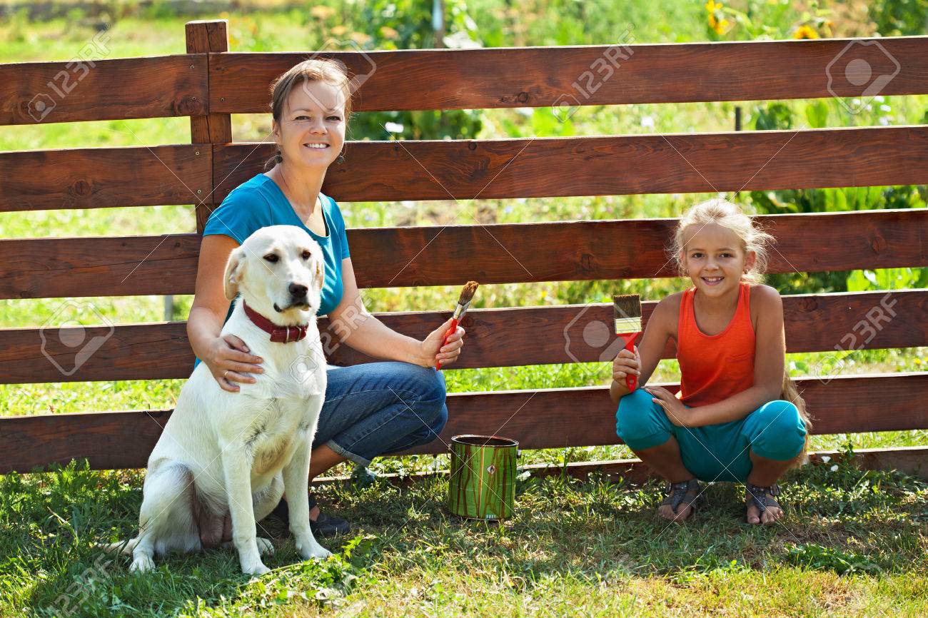 Teamwork - woman with little girl and dog painting a fence in summer time - 54667060 Teamwork - woman with little girl and dog painting a fence in summer time - 54667060