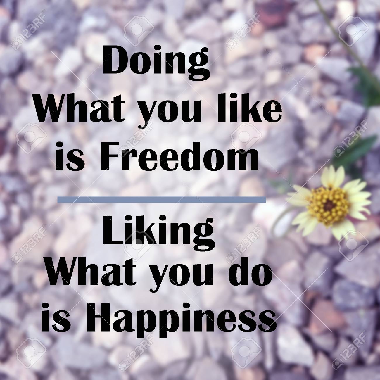 Citation Inspirante Faire Ce Que Vous Aimez Est La Liberte Sur Fond Flou Avec Filtre Vintage Banque D Images Et Photos Libres De Droits Image Citation Inspirante Faire Ce Que Vous Aimez Est La Liberte Sur Fond Flou Avec Filtre Vintage Banque D Images Et Photos Libres De Droits Image