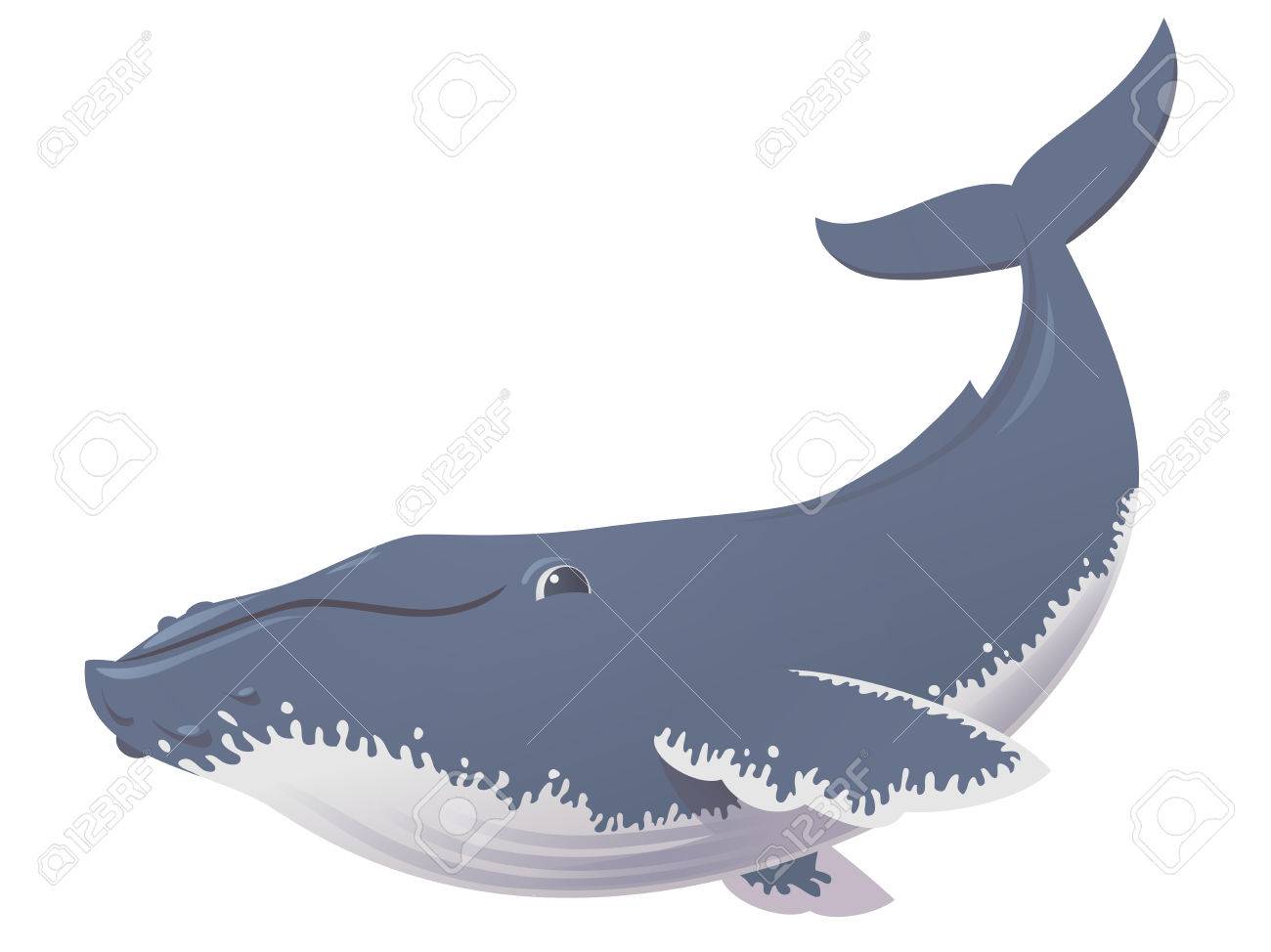 かわいい面白いザトウクジラのベクトル イラスト のイラスト素材 ベクタ Image