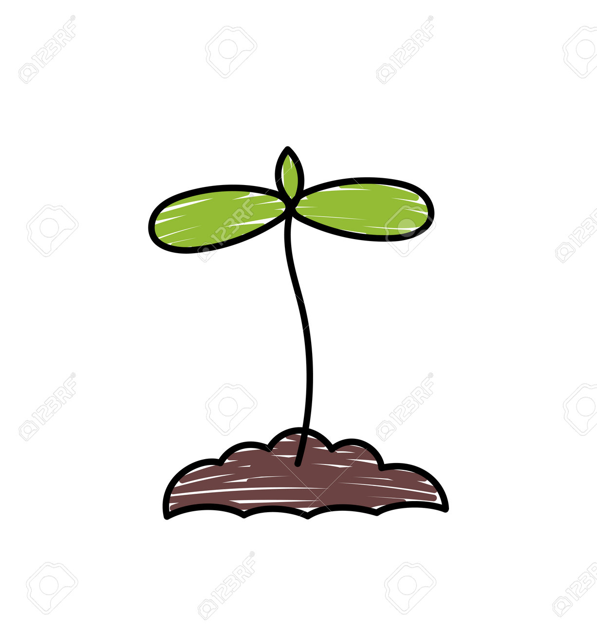 New Born Green Plant With Droplets Royalty Free SVG, Cliparts, Vectors, and  Stock Illustration. Image 7788376., image size:1226x1300