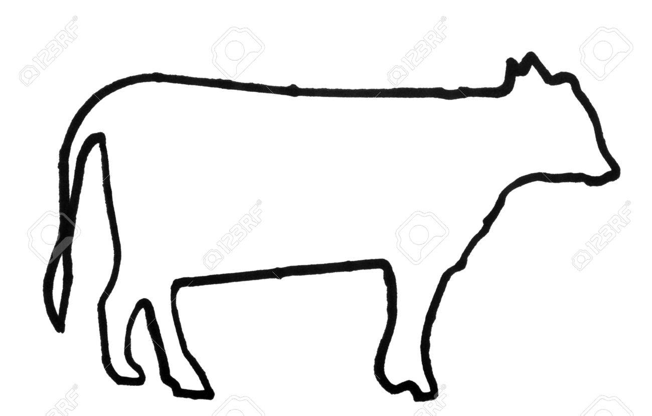 outline of a cow cow outline