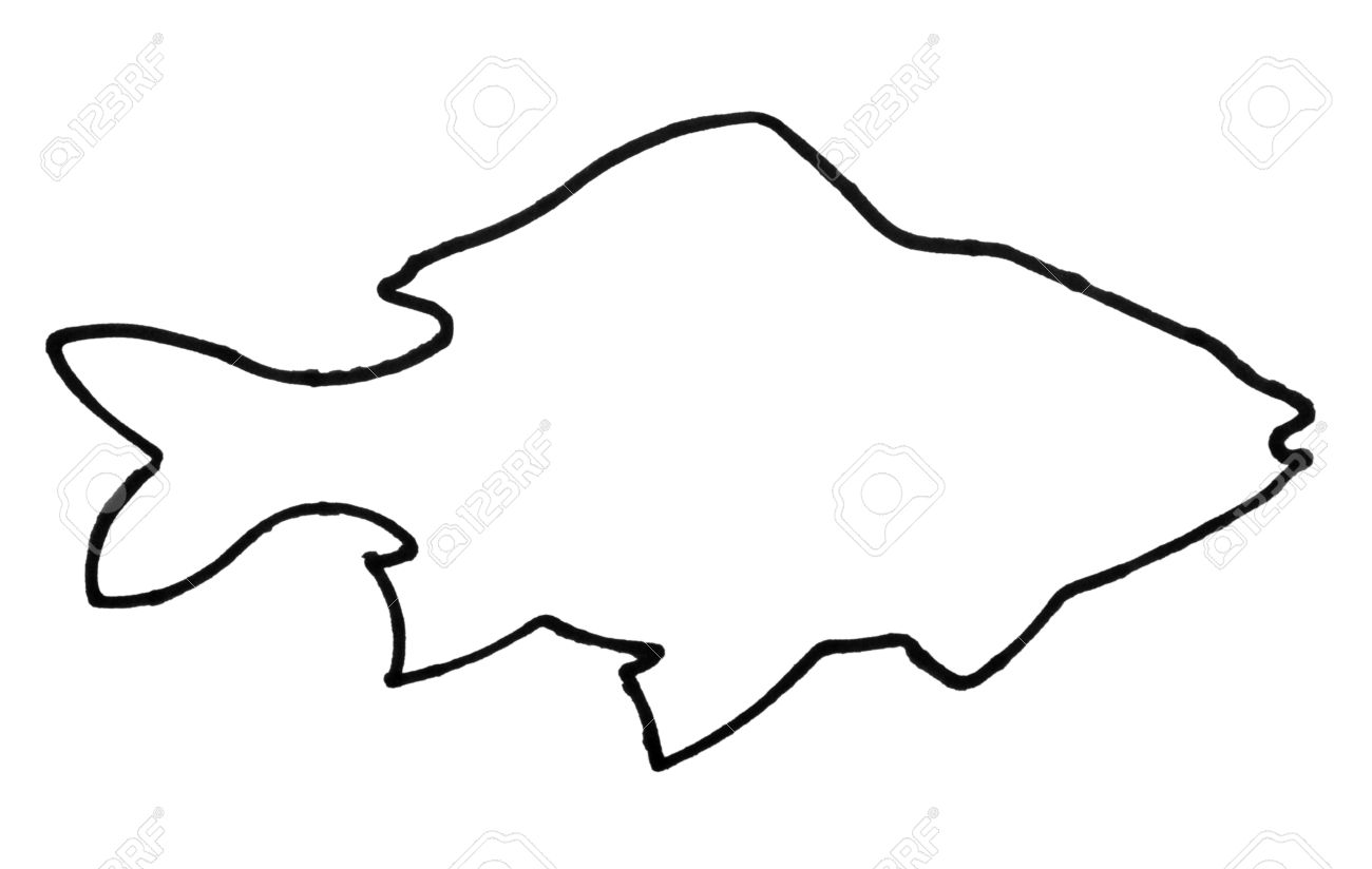 outline of a fish stock photo picture and royalty free image image outline of fish
