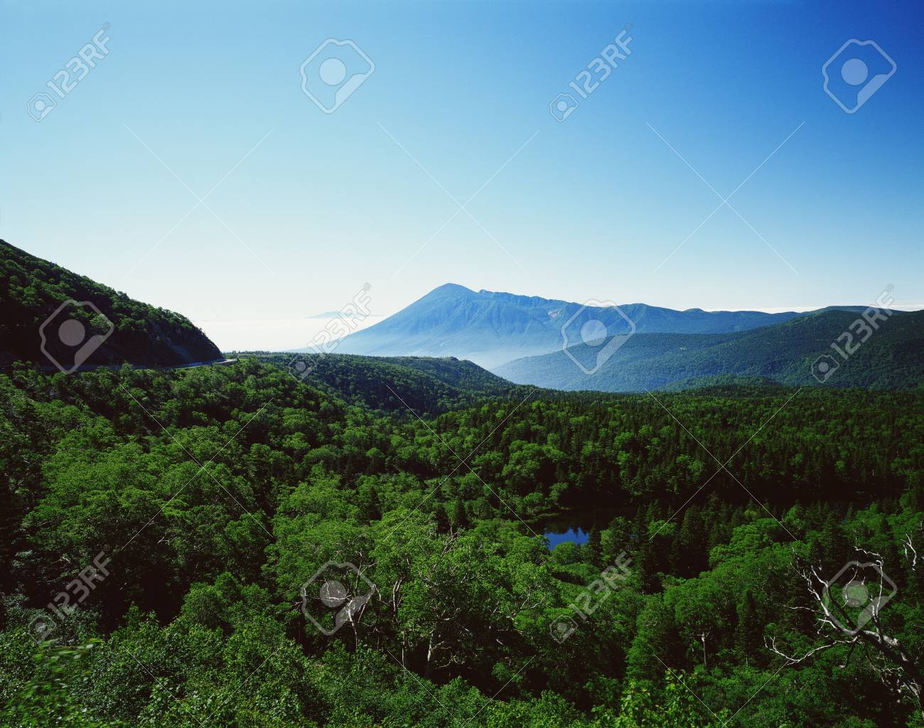 etiam-dictum-ipsum-a-felis