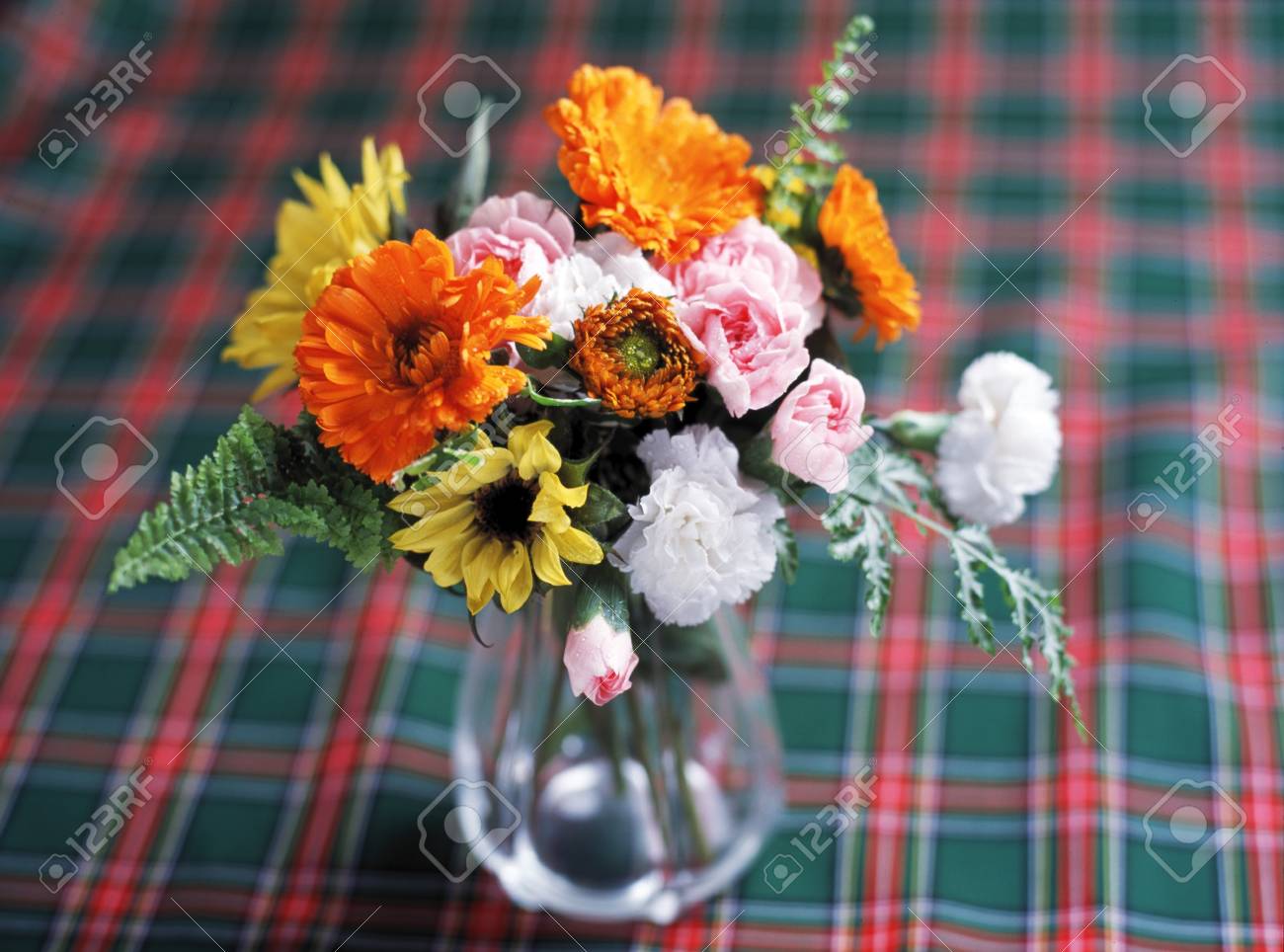 etiam-dictum-ipsum-a-felis