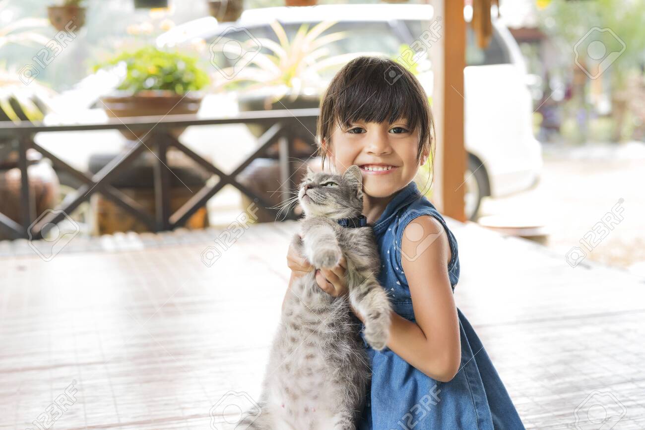 Origin Of Kuching Name City Of Sarawak Backyard Tour