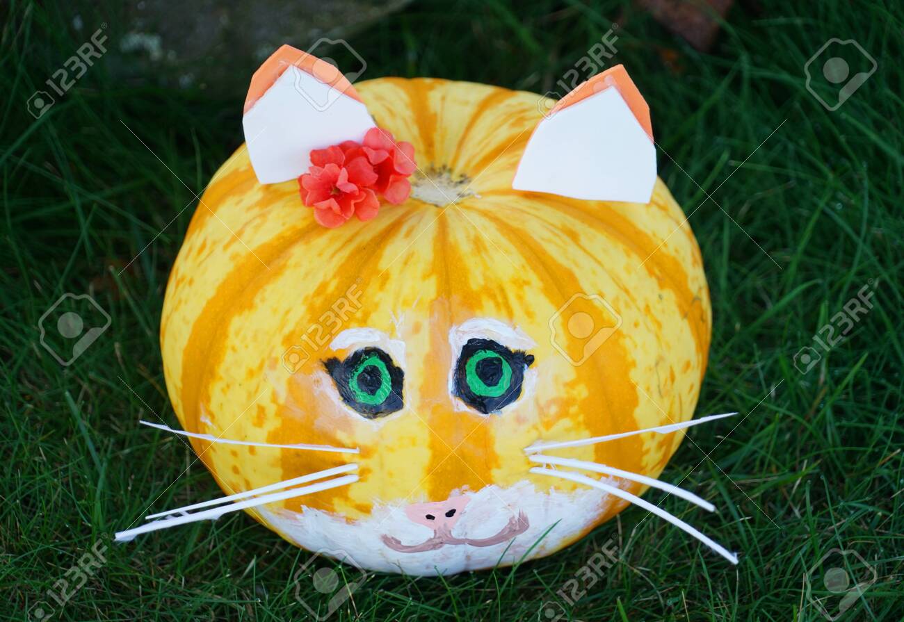 Home Made Pumpkin Cat For Halloween Decoration Stock Photo