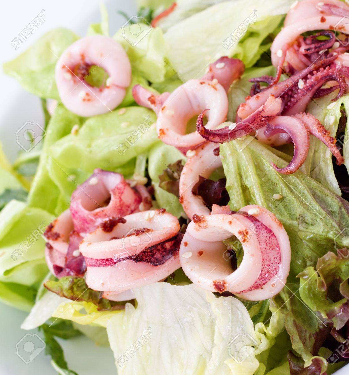 イカは亜鉛とマンガン 銅 セレン ビタミン B12 リボフラビンの高のおいしい料理のソース の写真素材 画像素材 Image 6246