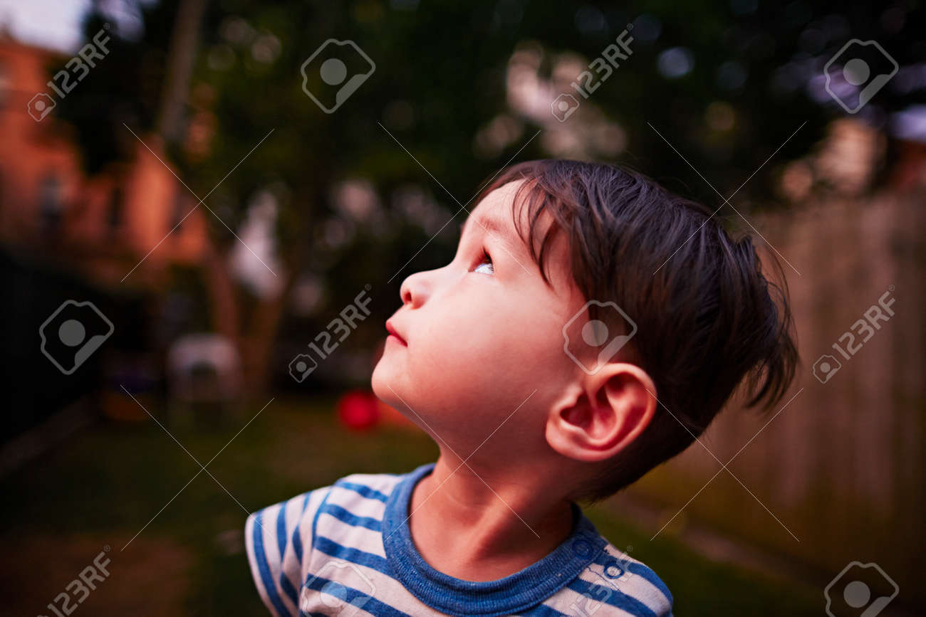 Boy Looking Up Into Sky Stock Photo, Picture and Royalty Free Image. Image  186101695., image size:1300x867