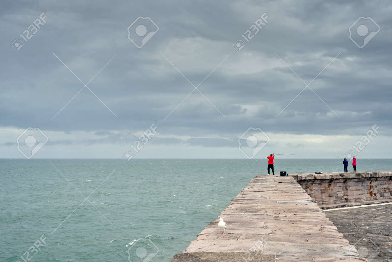 etiam-dictum-ipsum-a-felis