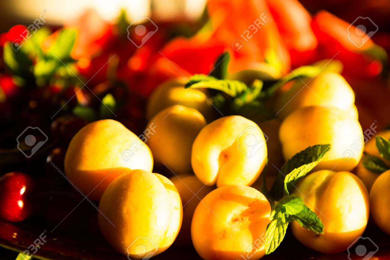 etiam-dictum-ipsum-a-felis