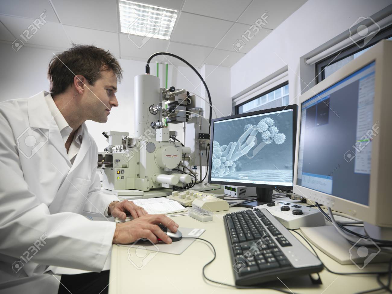 scientist working on computer in lab stock photo picture and scientist computer