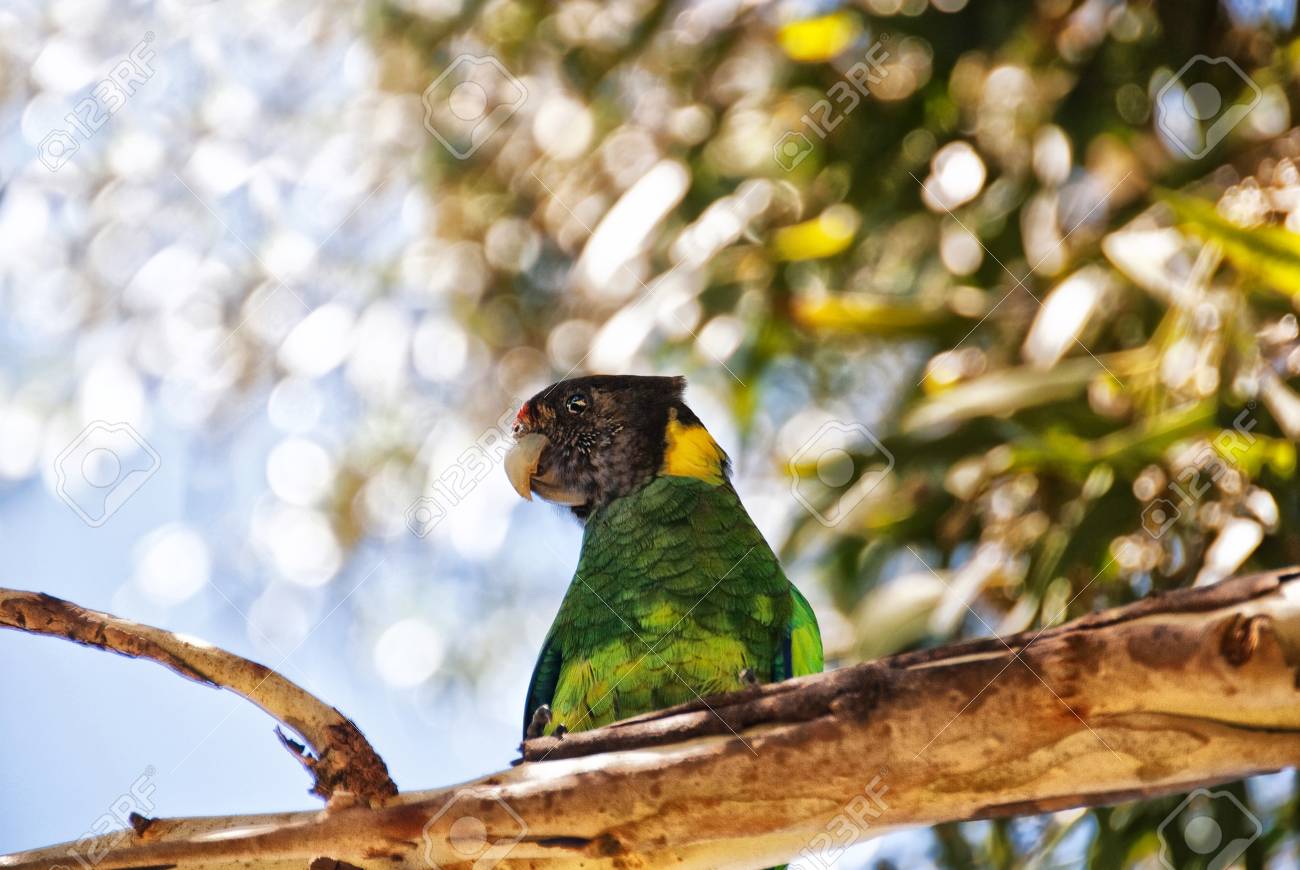 etiam-dictum-ipsum-a-felis