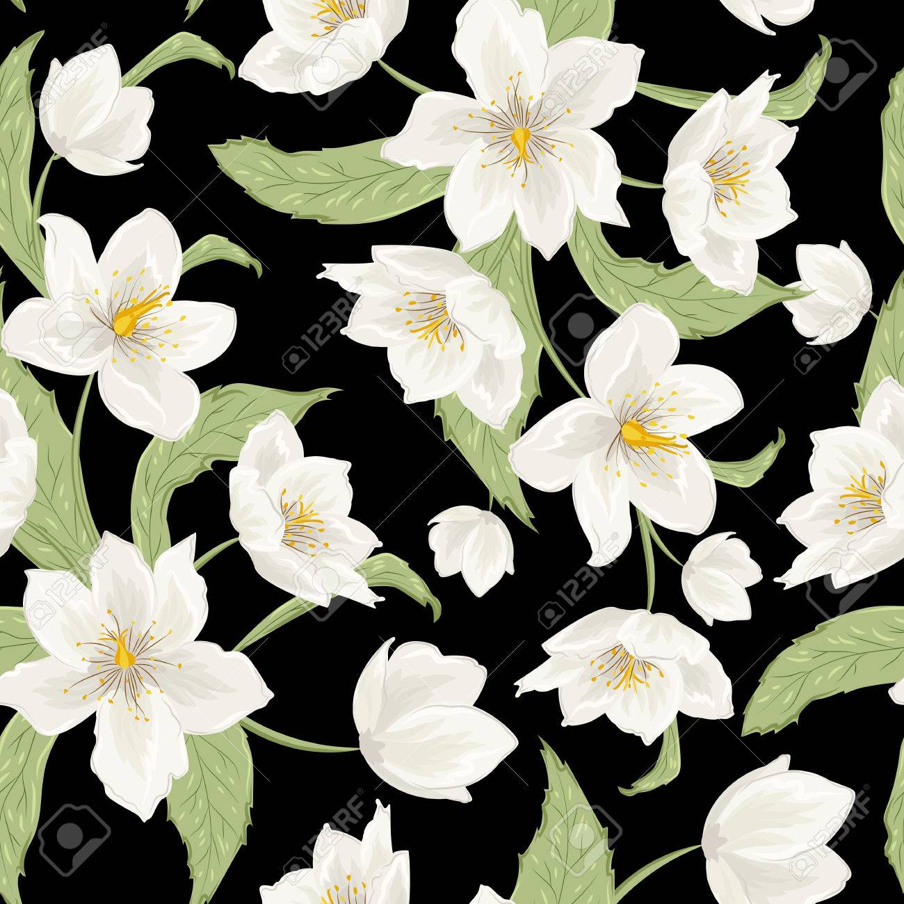 Christrose Helleborus Bluten Nahtlose Muster Auf Schwarzem Hintergrund Aquarell Stil Zeichnung Vector Design Illustration Winter Rose Lenten Rose Helleborus Niger Lizenzfrei Nutzbare Vektorgrafiken Clip Arts Illustrationen Image 68545974