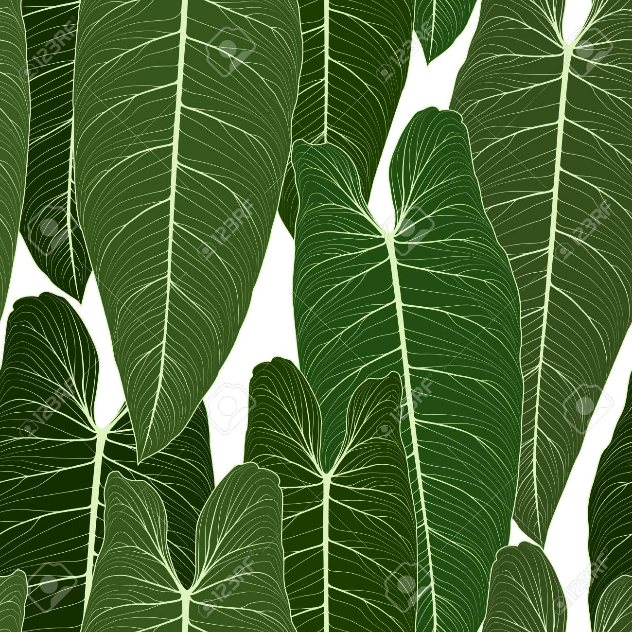 Download Long Big Tropical Leaves With Sharp Tips Overlay Repeat Seamless Stock Photo Picture And Royalty Free Image Image 88353309