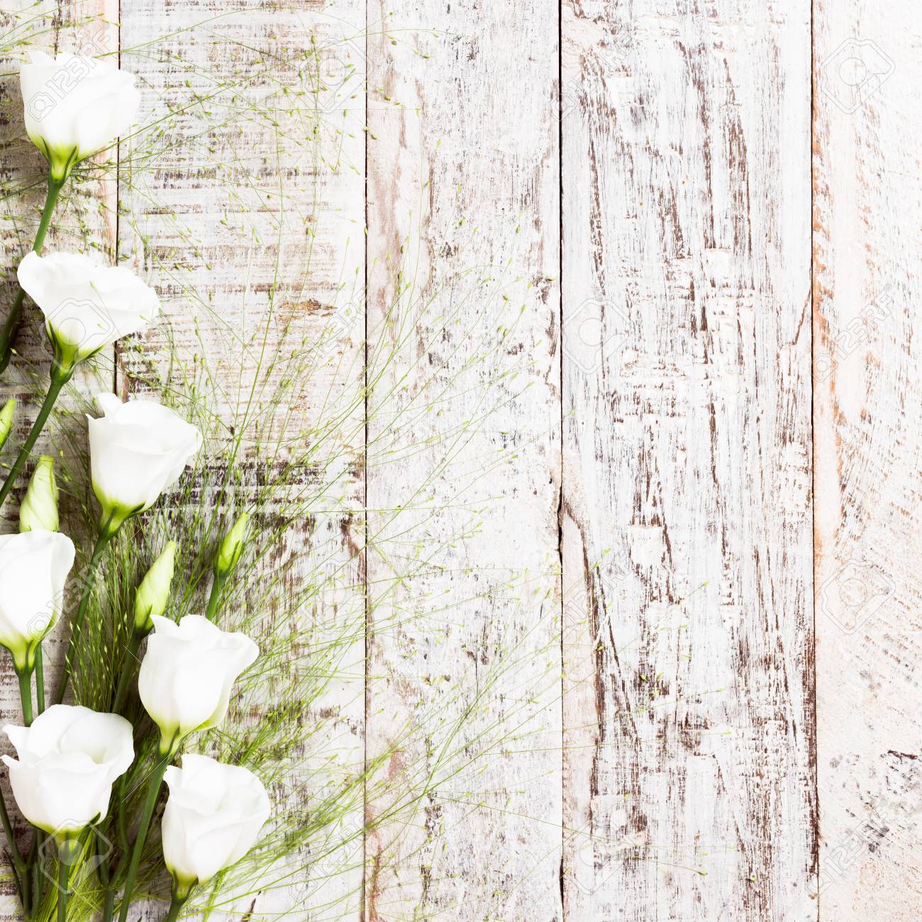 Viejo Fondo De Madera Blanco Con Ramo De Flores Blancas. Concepto De La Madre Y El Día De San Valentín Con Espacio De Copia De Texto. Fotos, Retratos, Imágenes Y Fotografía De Viejo Fondo De Madera Blanco Con Ramo De Flores Blancas. Concepto De La Madre Y El Día De San Valentín Con Espacio De Copia De Texto. Fotos, Retratos, Imágenes Y Fotografía De