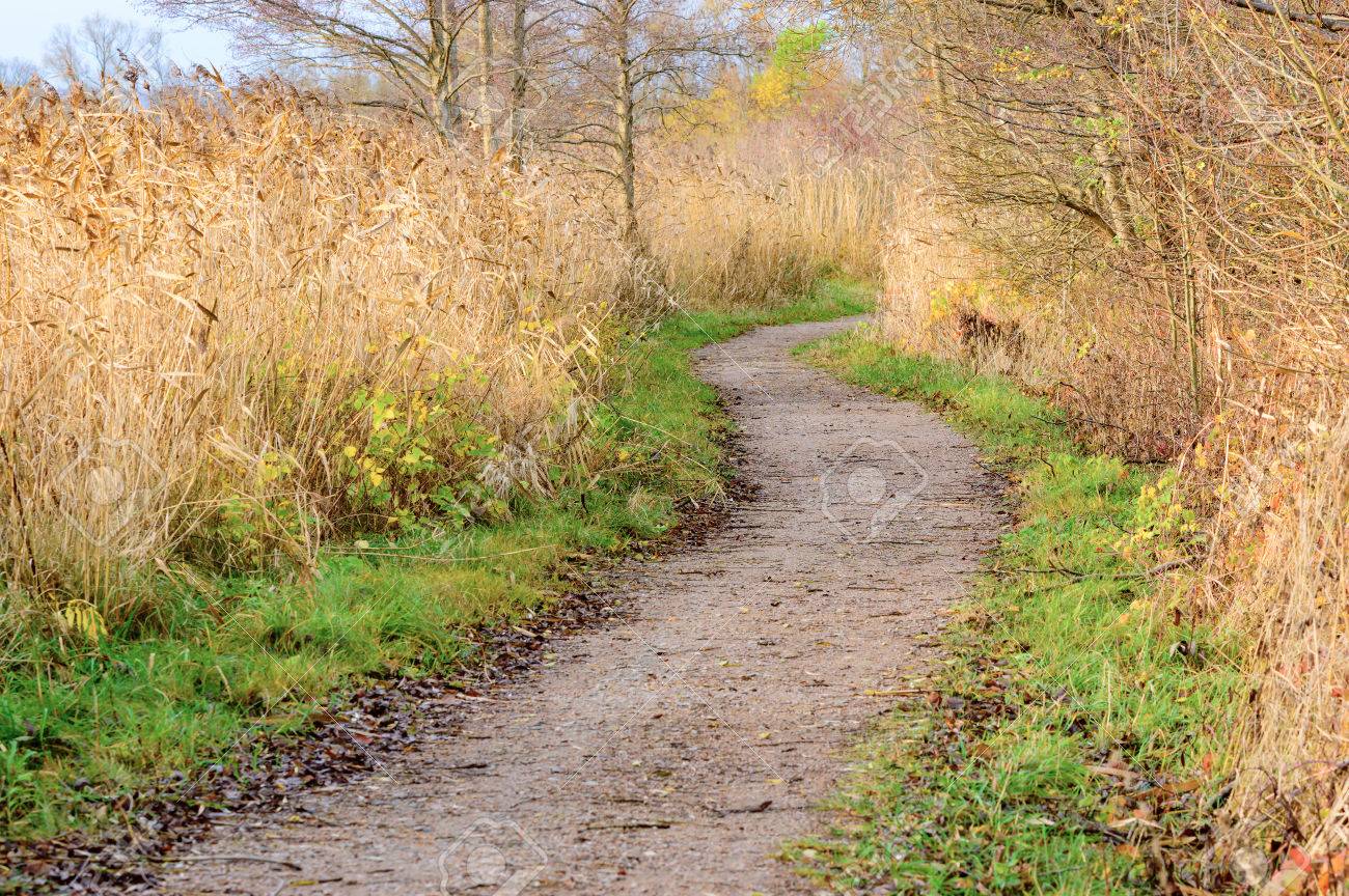 gravel trail