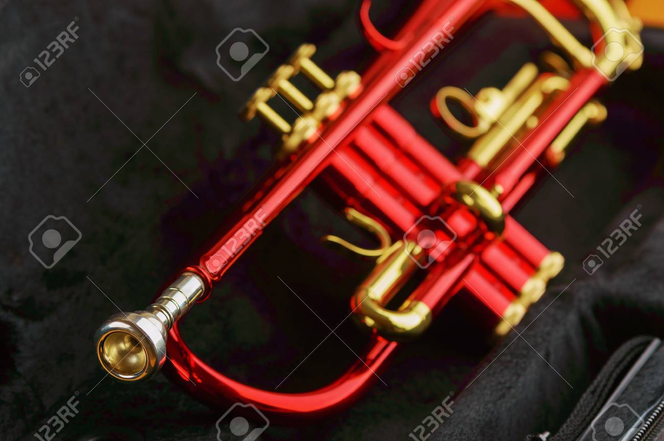 Pepperoni　トランペットシャイニングケース 赤 トランペットシャイニングケース 赤 Pepperoni トランペット