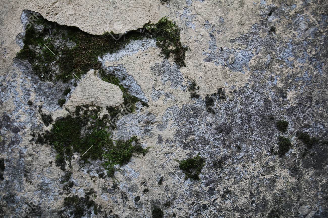 カビやコケでコンクリート壁のテクスチャ の写真素材 画像素材 Image