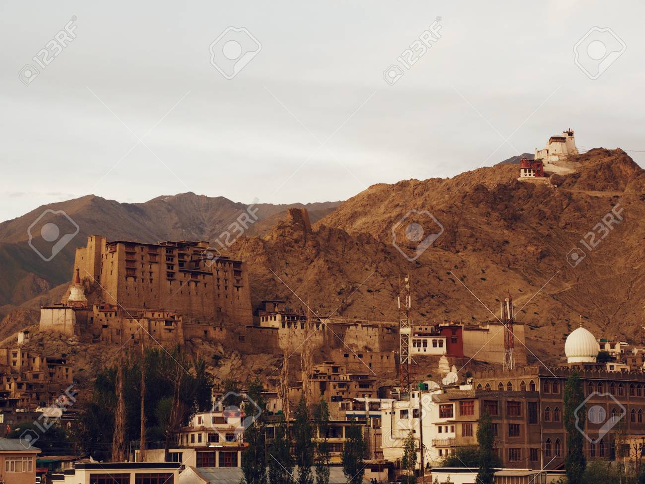 etiam-dictum-ipsum-a-felis