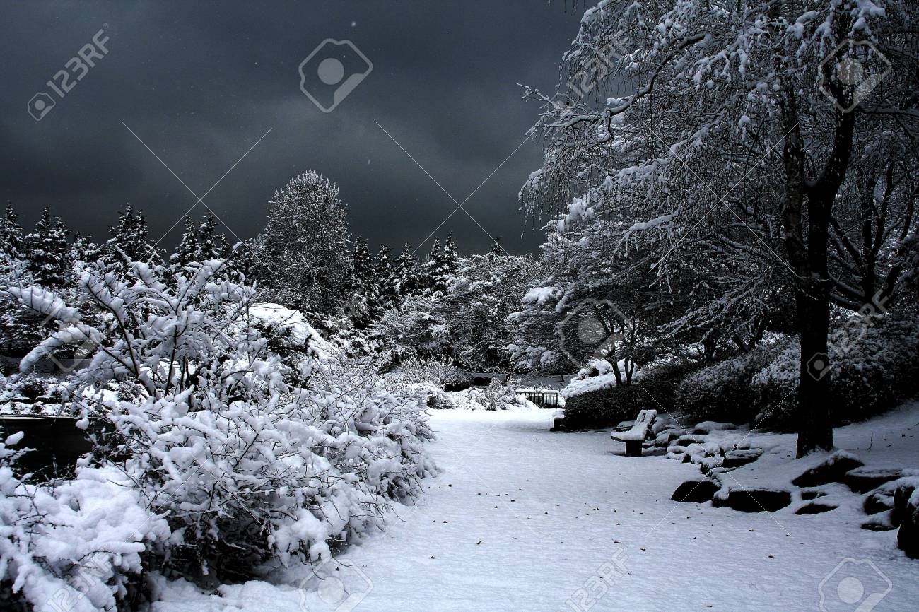 冬景色 韓国 顯忠とする の写真素材 画像素材 Image