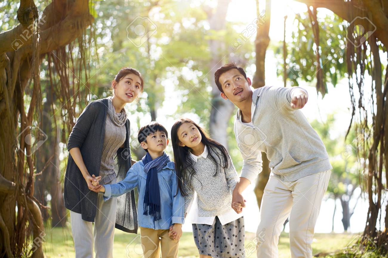 asian family with two children having fun exploring woods in a park. - 114738879 asian family with two children having fun exploring woods in a park. - 114738879