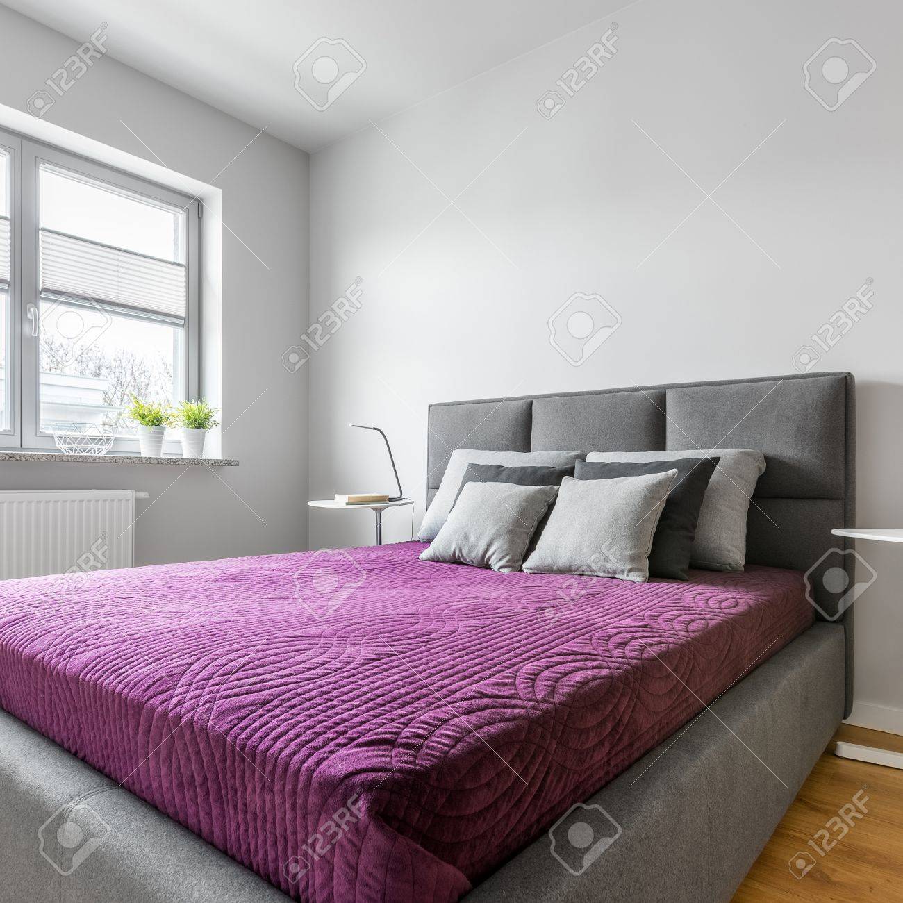 Simple White Bedroom With Grey Upholstered Bed Nightstand And Stock Photo Picture And Royalty Free Image Image 78766213