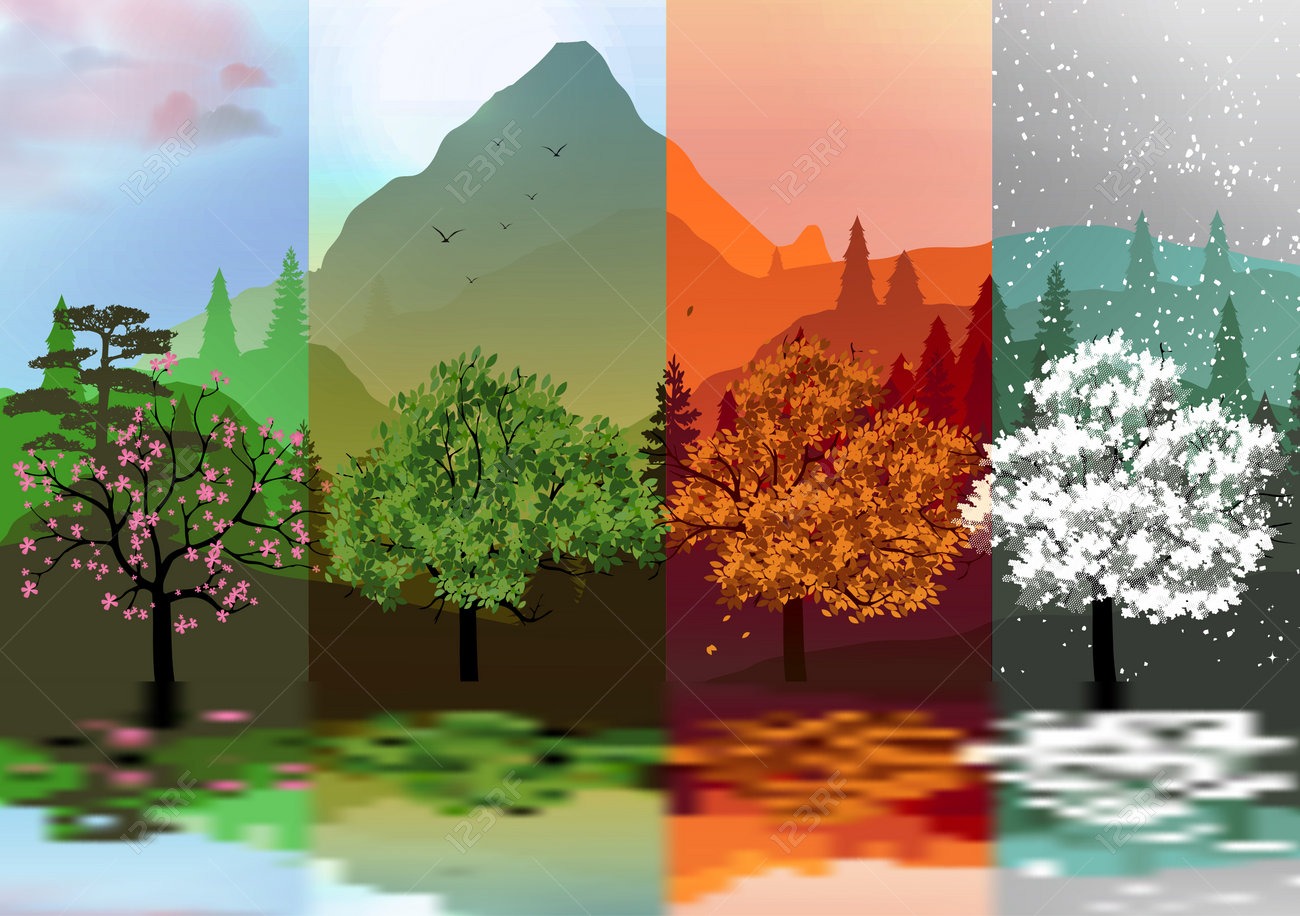 Four Seasons of a Forest