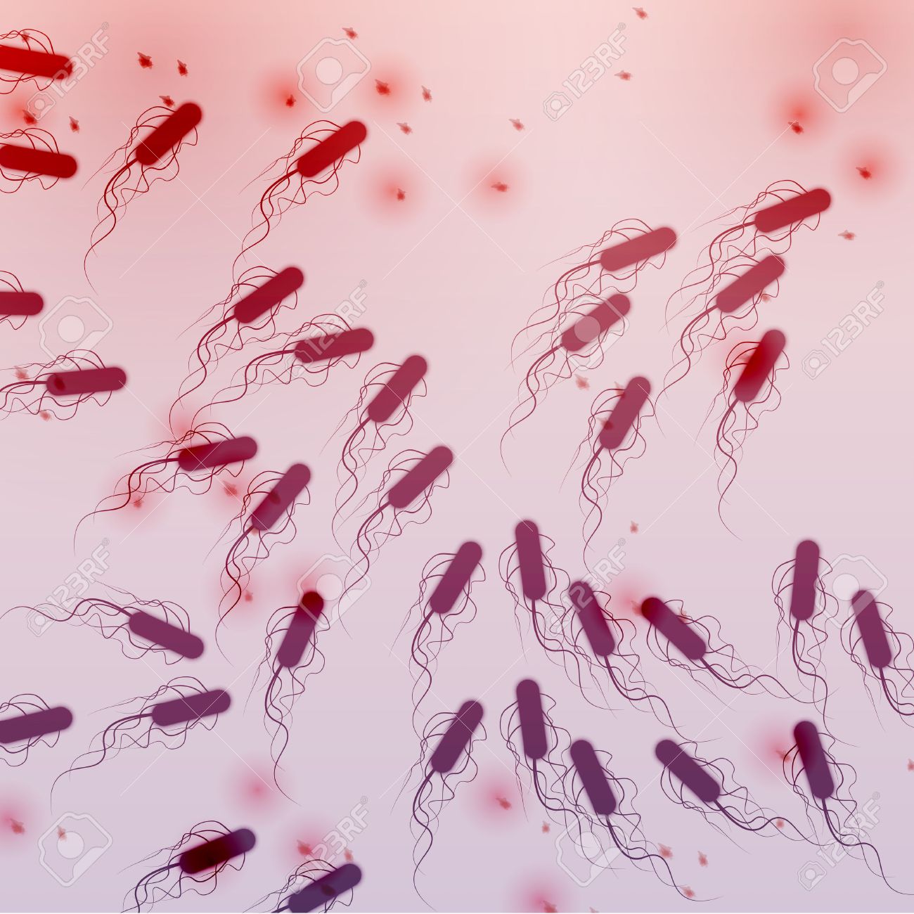 кишечная палочка под микроскопом. Escherichia coli в микроскопе. грамотрицательные бактерии кишечная палочка. эшерихия коли микроскопия. синегнойная палочка микроскопия по граму.