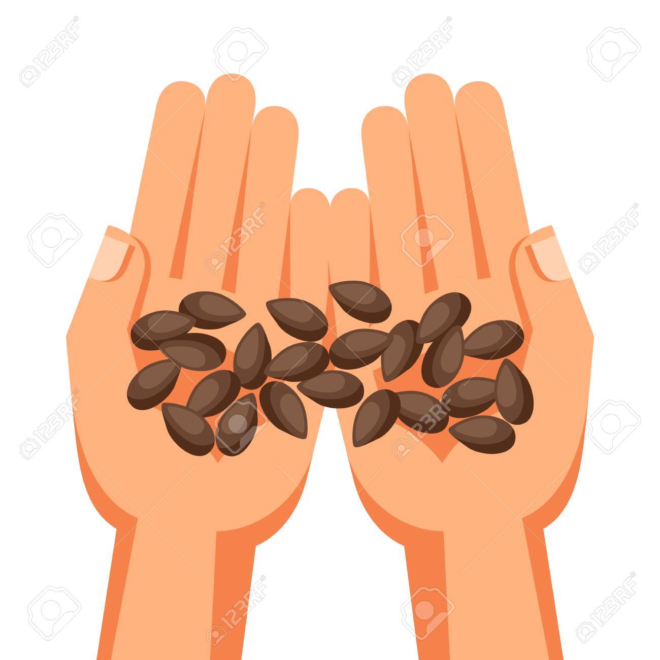 Illustration Of Human Hands Holding Handful Seeds Royalty Free Cliparts Vectors And Stock Illustration Image 53412242