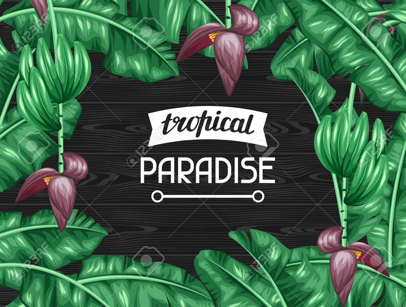 Frame with banana leaves. Decorative image of tropical foliage, flowers and fruits. Design for advertising booklets, banners, flayers, cards. - 55577915 Frame with banana leaves. Decorative image of tropical foliage, flowers and fruits. Design for advertising booklets, banners, flayers, cards. - 55577915